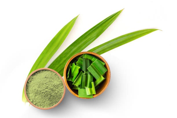 pandan-sebagai-bahan-lokal-yang-sering-digunakan-dalam-kreasi-bakery